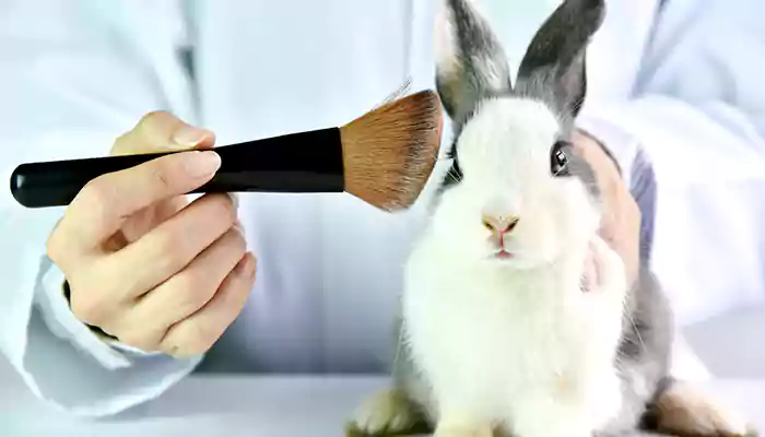 Exploring The World Of Cruelty-Free Beauty Products